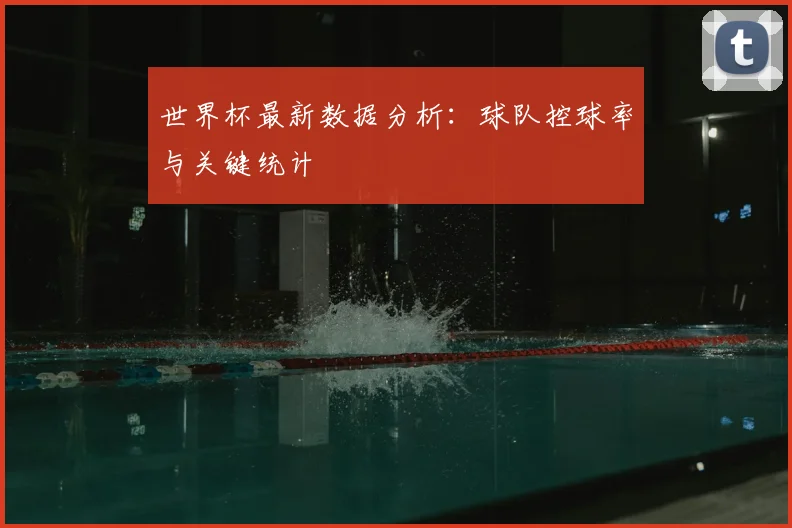 世界杯最新数据分析:球队控球率与关键统计