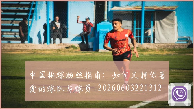 中国排球粉丝指南：如何支持你喜爱的球队与球员_20260603221312
