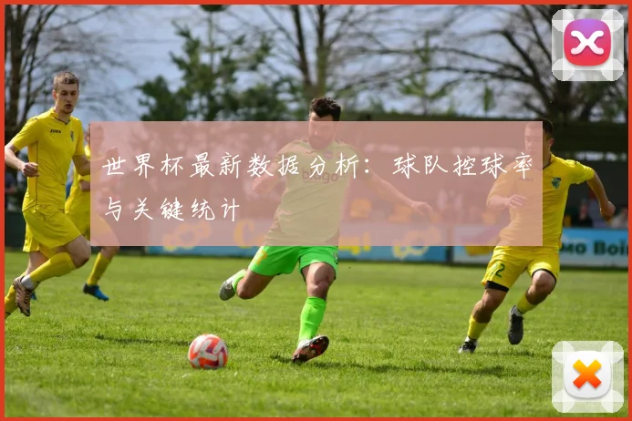 世界杯最新数据分析:球队控球率与关键统计